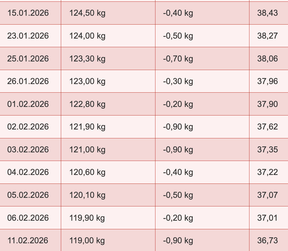 Website Bereich Bild